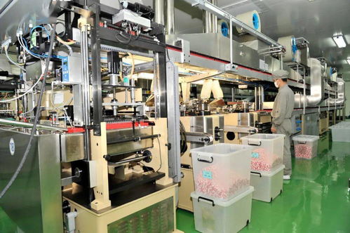 榆社強(qiáng)勢(shì)啟動(dòng)27.6億元投資，38個(gè)重點(diǎn)項(xiàng)目聚焦生物化工技術(shù)研發(fā)