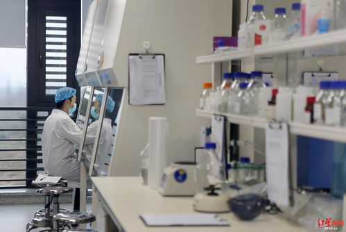 戰疫時刻，生物化工技術研發展現成都真實城市精神