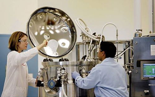 Amyris 美國工業(yè)生物技術(shù)先鋒的衰落樣本