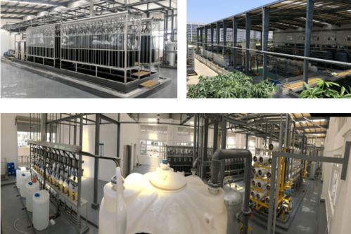 全國煤炭與煤化工環(huán)境治理及保護大會暨生物化工產(chǎn)品技術(shù)研發(fā)研討會預(yù)通知