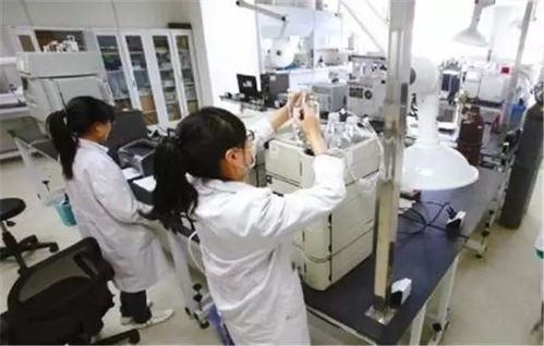 守正創(chuàng)新 以生物化工技術(shù)研發(fā)驅(qū)動中藥現(xiàn)代化發(fā)展