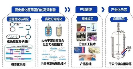 西北大學獲批3項國家重點研發計劃，聚焦生物化工產品技術研發新突破