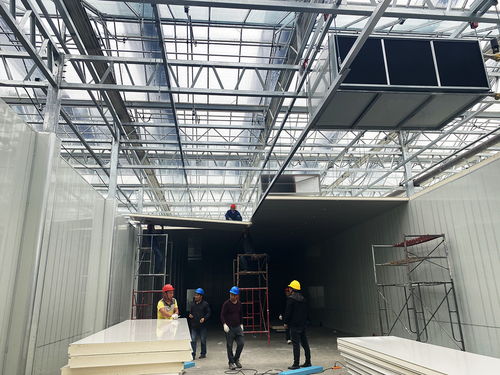 科技賦能農業新愿景 生物化工技術引領的草莓植物工廠，開啟全年“草莓自由”時代