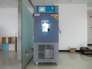 供應發電機小型恒溫恒濕箱廠家